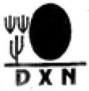 DXN
