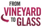 FROM VINEYARD TO GLASS