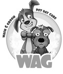 WAG WASH & GROOM PET DAY CARE