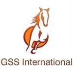GSS INTERNATIONAL