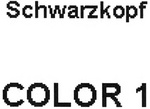 SCHWARZKOPF COLOR 1