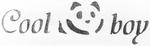 COOL BOY