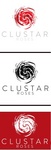 CLUSTAR ROSES