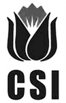 CSI