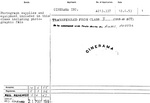 CINERAMA