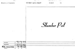 SLUMBER PAL