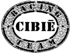CIBIE RACING TEAM