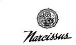 NARCISSUS