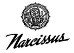 NARCISSUS