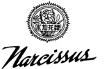 NARCISSUS