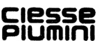 CIESSE PIUMINI