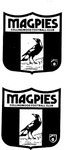 MAGPIES COLLINGWOOD FOOTBALL CLUB A
