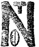 NT