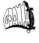 GOANNA