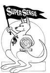 SUPER SENSE STATE PUBLIC SERVICE SUPERANNUATION BOARD NEW SOUTH WALES