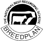 THE NATIONAL BEEF RECORDING SCHEME BREEDPLAN