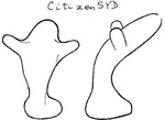 CITIZENSYD