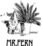 MR. FERN