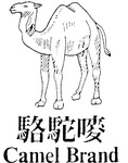 CAMEL BRAND