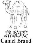CAMEL BRAND