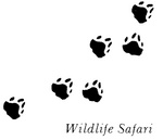 WILDLIFE SAFARI