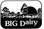 BIG DAIRY