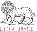 LION BRAND