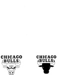 CHICAGO BULLS