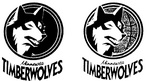 MINNESOTA TIMBERWOLVES