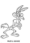 WILE E. COYOTE