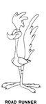 ROAD RUNNER