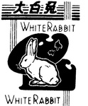 WHITE RABBIT