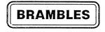 BRAMBLES