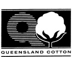 QUEENSLAND COTTON Q