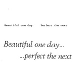 BEAUTIFUL ONE DAY   PERFECT THE NEXT ; BEAUTIFUL ONE DAY... ...PERFECT THE NEXT