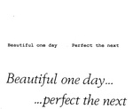 BEAUTIFUL ONE DAY   PERFECT THE NEXT ; BEAUTIFUL ONE DAY... ...PERFECT THE NEXT