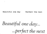 BEAUTIFUL ONE DAY   PERFECT THE NEXT                                  BEAUTIFUL ONE DAY... ...PERFECT THE NEXT