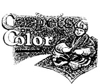 CARPETS COLOR