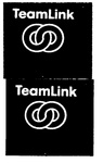 TEAMLINK