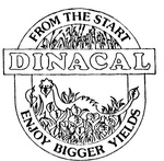 DINACAL FROM THE START ENJOY BIGGER YIELDS