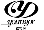 Y YOUNGOR