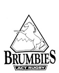 BRUMBIES ACT RUGBY