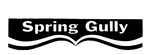 SPRING GULLY