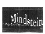 MINDSTEIN