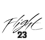 FLIGHT 23