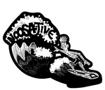 NOOSAJIVE