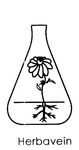 HERBAVEIN