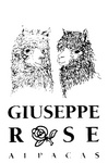 GIUSEPPE ROSE ALPACAS