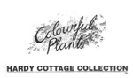 COLOURFUL PLANTS HARDY COTTAGE COLLECTION