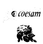 COESAM